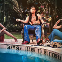 Learn to Butterfly - GeeMBee