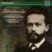 Symphony No. 3 in D Major, Op. 29 "Polish": Scherzo - Allegro vivo - Philharmonia Slavonica