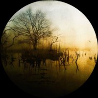 Feed Your Need - Knobs & Raphael Dincsoy