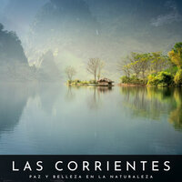 Corrientes Cristalinas - La mejor musica instrumental & Relajación Piano & Musica Relajante Specialistas