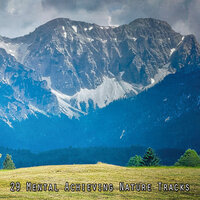 In The Tree Tops - Nature Sounds for Sleep and Relaxation