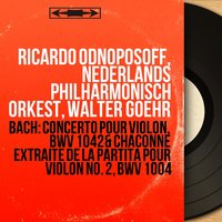 Violin Partita No. 2 in D Minor, BWV 1004: V. Chaconne - Ricardo Odnoposoff & Johann Sebastian Bach
