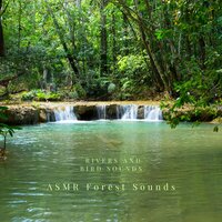 The First Birdsong - ASMR Forest Sounds