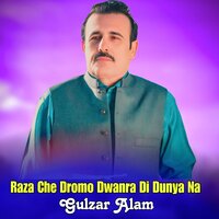 Raza Che Dromo Dwanra Di Dunya Na - Gulzar Alam
