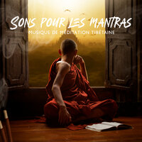 Méditation pleine conscience - Ensemble de Musique Zen Relaxante & Buddhist Méditation Académie