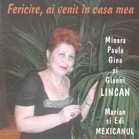 Fericire, Ai Venit În Casa Mea - Mioara Lincan