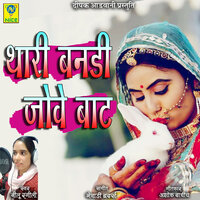 Thari Bandi Jove Baat - Neelu Rangili