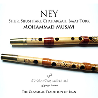 شور: کاشی - محمد موسوی