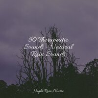 Birdsong in the Wind - Internal Yoga & White Noise Sound Garden & Study Music & Sounds