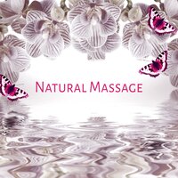 Zen Garden - Spa Massage Solution