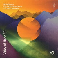 Valley of Hope - AudioStorm