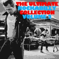 We Wanna Boogie - Sonny Burgess