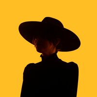 Lady Luck - The Howlers