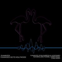 We Got The Beat - Flamingos