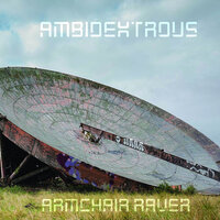 Negative Response - Ambidextrous