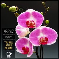 You Will Never Be Mine - Lenz (DE)