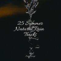 Lofi Rain - Chakra Balancing Sound Therapy & Nature and Rain & The Rainforest Collective