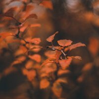 Melodía De Lluvia Suave - El hada de las canciones de cuna & Musica Para Dormir Profundamente & Meditação Yoga Maestro