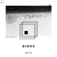 Birds - 8TYL