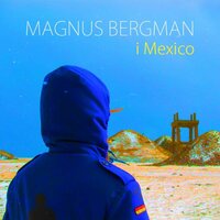 Ingen Annan - Magnus Bergman