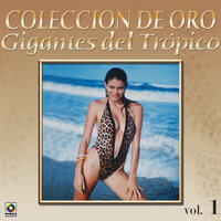 Negra Mala - Andy Montanez
