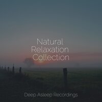 Streams of Zen - Tinnitus Aid & White Noise Baby Sleep & Binaural Beats Brain Waves Isochronic Tones Brainwave Entrainment