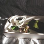 Утро на Романтике
