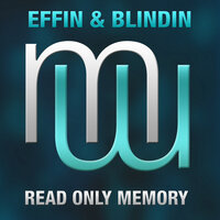 Read Only Memory - Effin & Blindin