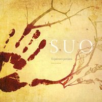 Ohtoseni - Suo