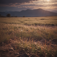 Gentle Vibrations - atmospheremusic & Nature Sounds