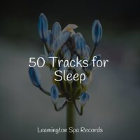 Calm Spa Music - Relax Meditation Sleep & Chillout Lounge & Crying & Colic Relief