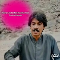 Zalima Parwa Na Ko - Peer Dad Ghamgeen