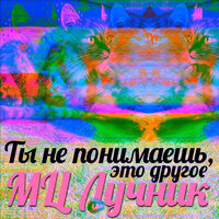 Ты не понимаешь, это другое - Мц Лучник