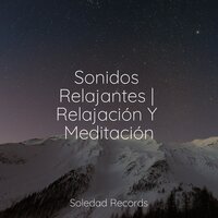 Sueños De Rocío - Canciones de Cuna 101 & Canciones Infantiles Para Niños & Relajarse