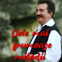TOP 10 MUZICĂ POPULARĂ - Petrică Mîțu Stoian