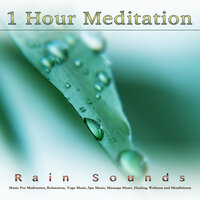 Meditation Playlist - Meditation Playlist & 1 Hour Meditation & Music for Meditation
