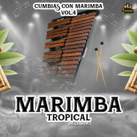 Camaron Pelao - Marimba Tropical De Chiapas