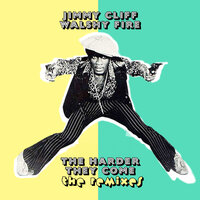 You Can Get It If You Really Want - Jimmy Cliff & Walshy Fire