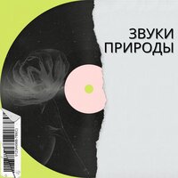 Глубокое дыхание - Нежные мелодии & Гармония души & Мягкая музыка