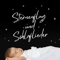 Traumhafte Nachtmusik - Meister der Schlaflieder
