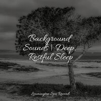 Relaxation Meditation - Rain Spa & Sleepy Night Music & Asian Zen Spa Music Meditation