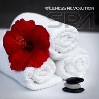 Well Being (Deep Relaxation) - Beauty Spa Music Collection