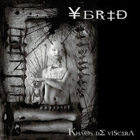 Datura - Ybrid