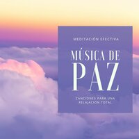 Música para Calmar el Cerebro - Templo del Silencio