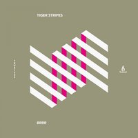 Detroit - Tiger Stripes