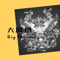 大凤凰 - 花哨