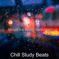 Contemporary Ethnic Lo-fi - Bgm for Sleeping - Chill Study Beats
