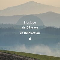Tender Life - Detente & Les Voies de la Relaxation & Détente et Relaxation