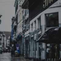 Rain in a Barrel - Sound of Rain & Relaxing Mindfulness Meditation Relaxation Maestro & Pro Sound Effects Library