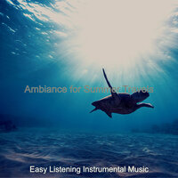 Bossa Quintet Soundtrack for Traveling - Easy Listening Instrumental Music